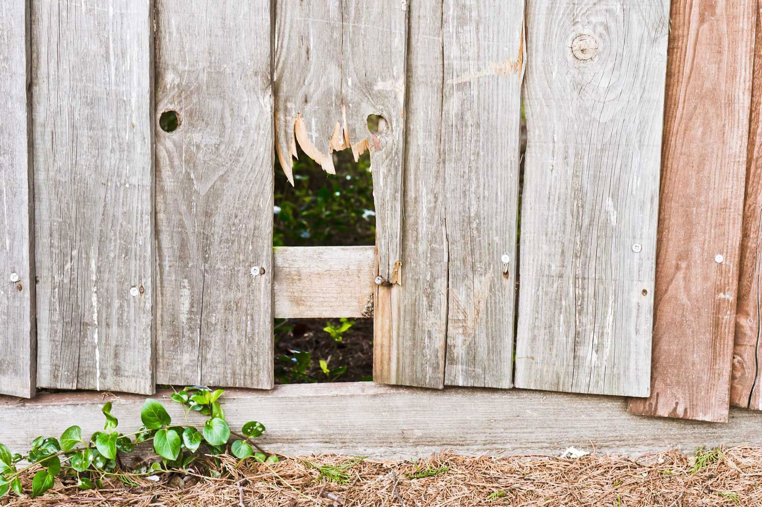 Fence repairs central jersey