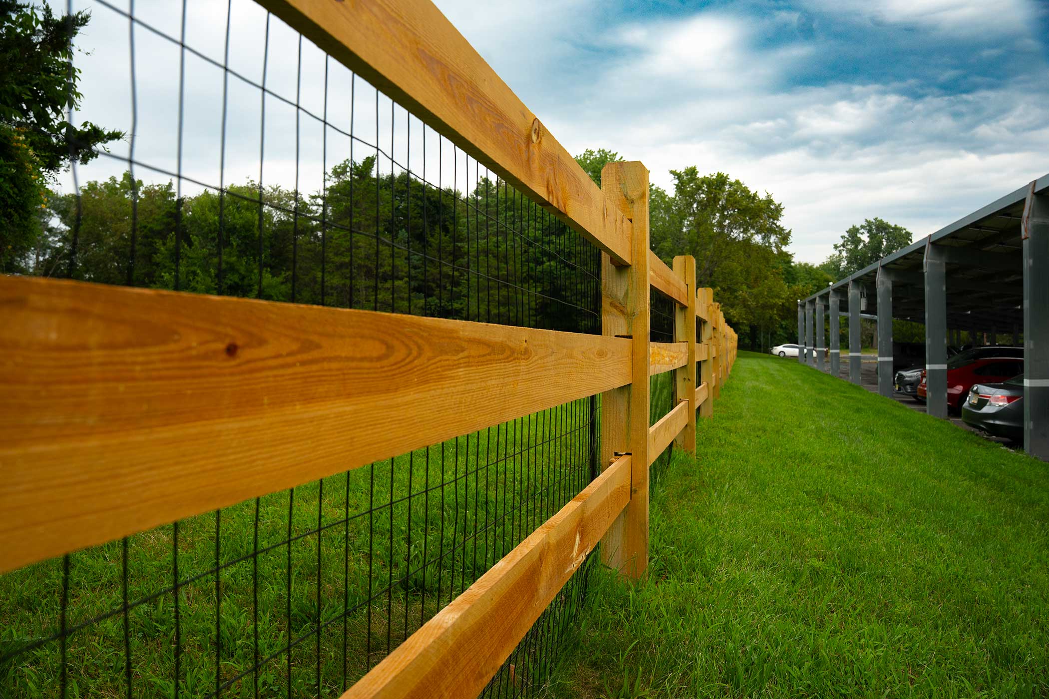 Deer Guard Fence Hillsborough