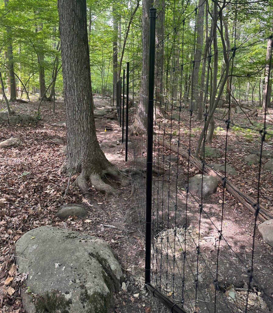 deer fence black wire